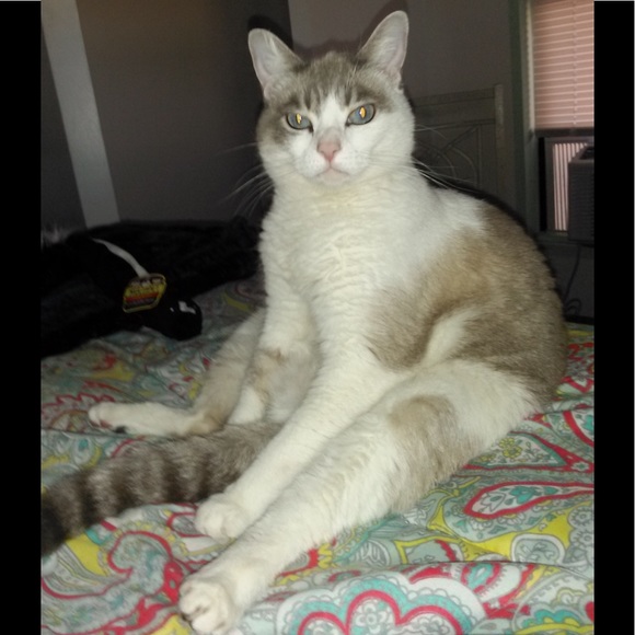 To Bookmark ChoosyShop’s Closet, Like this Listing - Picture 7 of 16